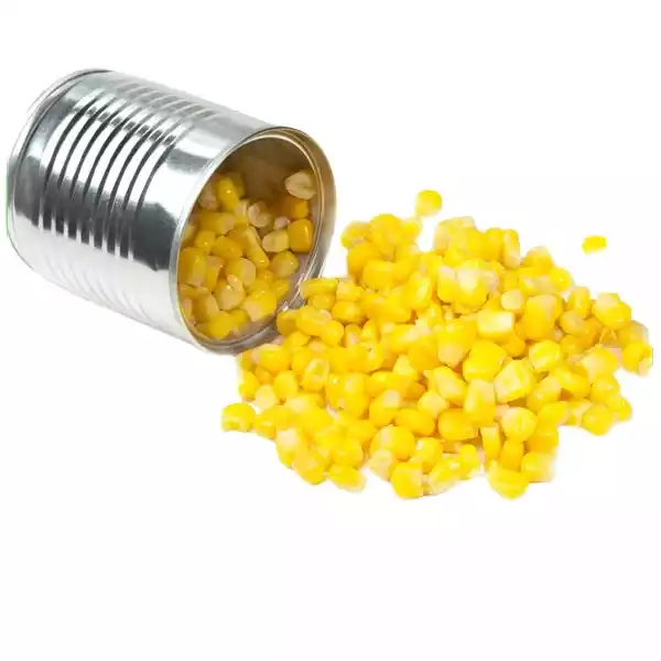 canned foods manufacturer in China